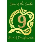 The Year of the Snake Weekly Planner: Shed distractions, slither into success and plan your way to greatness!