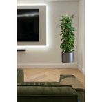 Then Tech 90X30Cm Duvar Süsleme Stickeri Ağaç Şeklinde Duvar Stickeri Dekoratif Yapışkanlı Duvar Kağıdı