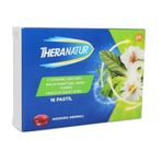 Theranatur Ahududu Aromalı 16 Pastil