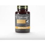 Theraphyto Curcumin Şeytan Pençesi & Zerdeçal Ekstraktı 60 Kapsül