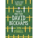There's Only Two David Beckhams