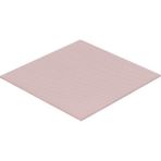 Thermal Grizzly Minus Pad 8 - 100X 100X 1,0 mm - 100x 100x 1mm