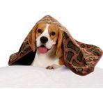 Thermo Blanket Sıvı ve Rüzgar Geçirmez Polar Pati Baskılı Köpek Battaniyesi- 80 x 100 cm - Kahverengi