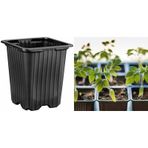 Thermoform Kare Vakum Saksı 100 Adet - Üretim Saksısı 9 cm