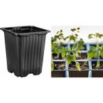 Thermoform Kare Vakum Saksı 30 Adet - Üretim Saksısı 9 cm