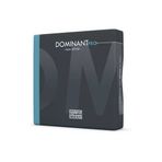 Thomastik Dp100 Dominant Pro 4/4 Takım Keman Teli | Parlak Ve Net Tını, El Cilası İşçiliği, Hassas Akort Kararlılığı