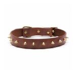 Thor Handmade Deri Köpek Tasması Açık Kahve L (46-55 Cm) Cl-Th-T-L