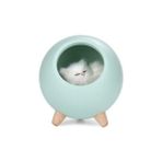 Three Beans Güzel Küçük Pet House Atmosfer LED Gece Işık Kedi Evi Dokunmatik Karartma Masa Lambası Hediye Çocuk Bebek Yatak Odası Dekorasyon Için | Gece Işıkları (Yurt Dışından)
