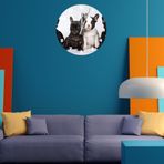 Tİ-PLAY BULDOG YAVRULARI 30X30CM AKRİLİK DEKORATİF MODERN DUVAR SAATİ