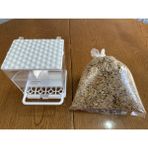 Ti-Sert Muhabbet Kuşları Için Akıllı Yemlik + Premium Kalite Muhabbet Kuşu Yemi 1 kg