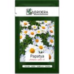 Tıbbi Aromatik Papatya Tohumu 100 Adet