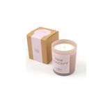Tiem Concept %100 Soya Mum Kahve Kokulu Vizon Renkli Kutulu Bardak Mum