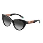 Tiffany TF4196 80013C 56 Kadın Güneş Gözlüğü
