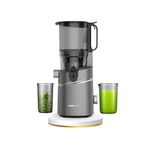 Tıgrecook Slow Juicer Yavaş Sıkım Katı Meyve Sıkacağı Sorbe Ve Dondurma