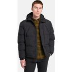 Timberland Dolgulu Erkek Ceket TB0A62670011