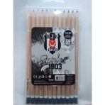 Timon Beşiktaş Lisanslı 12'li Kuru Boya