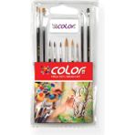 Timon Colorbank Fırça Seti 10 Lu - Siyah