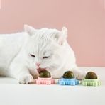 Tineke Catnipli Yenilebilir Kedi Nanesi Otu Yalama Oyun Topu Oyuncağı Yengeç