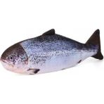 Tineke Peluş Kedi Oyuncağı Balık Kedi Nanesi Otlu Çıngıraklı 1 Adet - Yavruağzı - SOMON