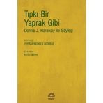 Tıpkı Bir Yaprak Gibi - Thyrza Nichols Goodeve