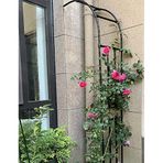 Tırmanma Bitkileri için Tel Örgü Bahçe Kemeri, Sağlam Destekli Hava Koşullarına Dayanıklı Pergola, Siyah, 2,2 x 2,4 m