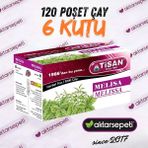 Tisan Melisa Çayı | 6 Kutu | 120 Poşet Çay - Bitki Çayı