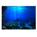 TITA-DONG 3D Akvaryum Arka Planı, Akvaryum Arka Planı Yapışkanlı Sürüngen Habitat Arka Planı, TV Arka Planı Fotoğraf Duvar Kağıdı, 3D Efektli Sualtı Seaworld Fon Süslemeleri Posteri Akvaryum Balıkları için (91