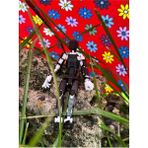 Titan 13 - Lucky 13 Oynar Eklemli Robot Figür Oyuncak Siyah Beyaz Dummy (1 Adet Gönderilir)