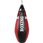 Titan Sport Armut Boks Torbası Şekilli Salon Tipi
