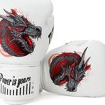 Titan Sport Ejderha Desenli Set Fgr Model-10 Boks Eldiveni