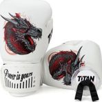 Titan Sport Ejderha Desenli Setli Fgr Model-11 Boks Eldiveni