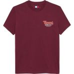 Tjm Slım Font Play Tee Erkek Kırmızı T-Shirt - DM0DM22049