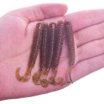 Tlg Shop G Tarzı 60MM 1.8g 10 Adet Lot Spiral Kuyruk Solucan Yumuşak Yemler 6cm 1.8g Wobblers Karides Kokusu Tuzlu Silikon Yapay Yem Pesca Bas Sazan Takımı (Yurt Dışından)