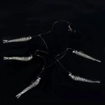 Tlg Shop Gri Renk Stili 1 Takım Küme Olarak Yumuşak Cazibesi Balık Tutma Yemi T Kuyruk Wobbler Pesca Jig Kafa Metal Balık Levrek Leurre Mücadele Yüzme Dökme Yem (Yurt Dışından)