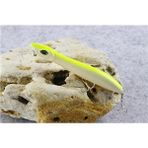 Tlg Shop Renk G Stili 105MM 10G Le Balık Yeni Balıkçılık Cazibesi Yemler Yüzey G 10.5g 10G Üst Su Popper Yılan Kafası Wobbler (Yurt Dışından)