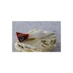 Tlg Shop Renk K Tarzı Le Fish Big Game Lure G New Popper Fishing Lures Top Water Hard Bait 3D Eyes Big Mouth Popper Lure With Vm Hook (Yurt Dışından)