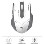 Tm-20 Çift Modlu Kablosuz Oyuncu Mouse Fare - Gri