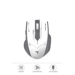 TM-20 Çift Modlu Kablosuz Oyuncu Mouse Fare TM-20-0690 Gri