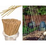 TNC Garden Groups Bitki Destek Çubuğu Bambu 75 cm 20 Adet