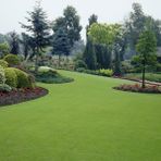TNC Garden Groups Çim Gübresi 15-5-15 Sportsmaster 100 gr