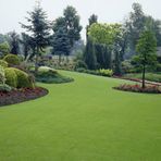 TNC Garden Groups Çim Gübresi 15-5-15 Sportsmaster 500 gr