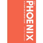 To Be A Phoenix Is To Burn And Be Reborn Again: Volume 1 (The Kaleidoscope Series, Band 1)