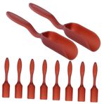 Toddmomy 10pcs Küçük Bahçe Aletleri Mini Toprak Kürek Çakıl Kepçesi Bonsai Tencereleri Için Taşınabilir Küçük Bahçe Kürek Etli Aksesuarlar Bahçecilik Araçları Etli Aletler