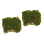 Toddmomy 2 Adet Bonsai Ve Saksı Için Yapay Yosun Gerçekçi Sahte Çim Peyzaj Yosun Dekorasyon Aksesuarı