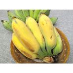 Tohhum Altın Parmak Muz Tohumu Goldfinger Banana Tohumu