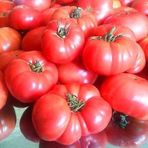 Tohhum Ankara Ayas Domates Tohumu 25+