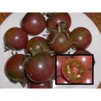 Tohhum Black Cherry Tohhum Bahçe Tohumu