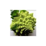 Tohhum İtalyan Romanesco Piramit Brokoli Tohumu