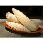 Tohhum Lif Sünger Kabağı Sponge Gourd Tohumu