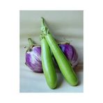 Tohhum Thaı Eggplant Yeşil Patlıcan Tohumu